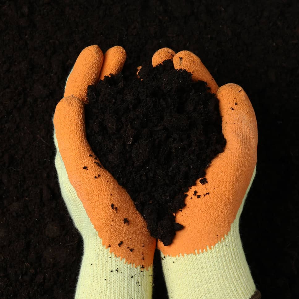 Какие грунты преобладают на участке